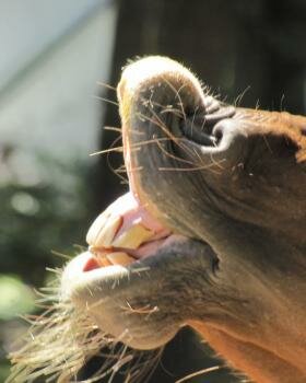 Jeannean Mercuri's Photo