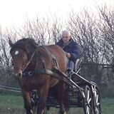 Franco Belmonte's Photo