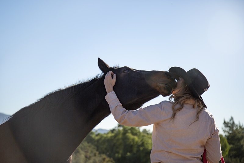 Does Insurance Cover Equine Therapy?