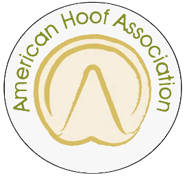 AHA Logo